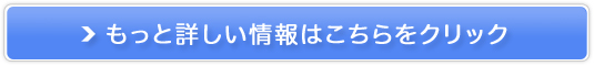 I[uK̔TCg
